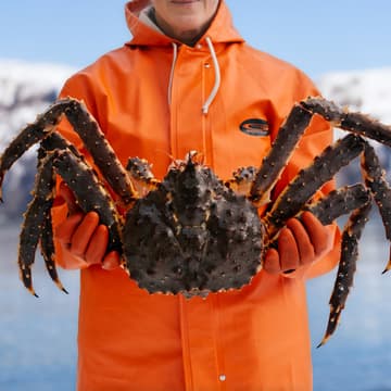 Cover Image for Future-Proofing Seafood: Resilience, Innovation and Sustainability
