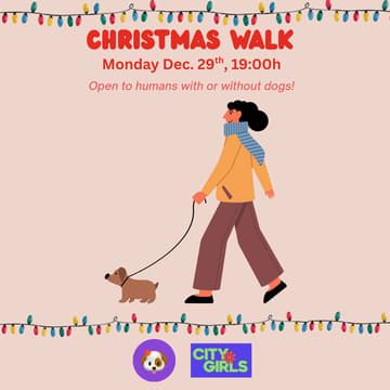 Cover Image for Christmas Walk