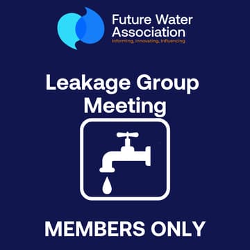 Cover Image for Leakage Group Meeting