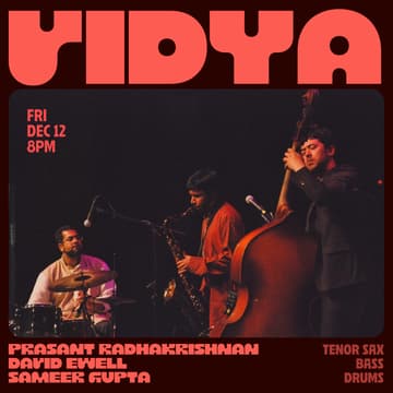 Cover Image for Music at York St. — VidyA