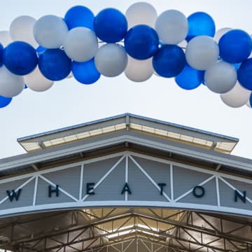 Cover Image for Idealist Days in Wheaton