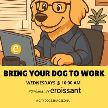 Cover Image for Dog-Friendly Co-Working | Powered by Croissant