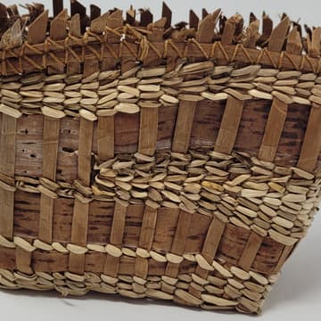 Cover Image for Raven Tracks