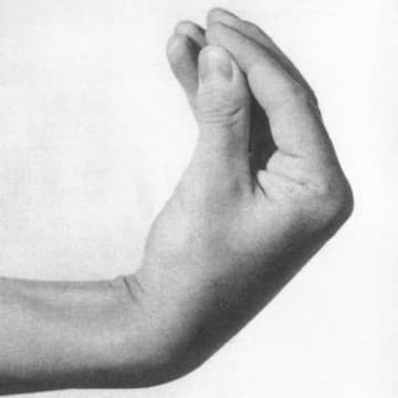 Cover Image for Cultivating Taste: Creativity in the Age of AI