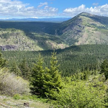 Cover Image for Mt. Adams All-Lands Forest and Fire Resilience Workshop