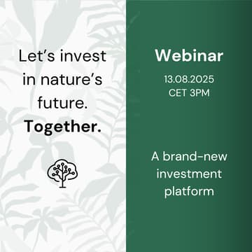 Cover Image for Webinar: Brainforest Canopy Pool