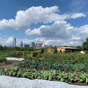 Cover Image for Cultivating Climate Resilience of Urban Agriculture in New York City