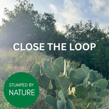 Cover Image for Close the Loop
