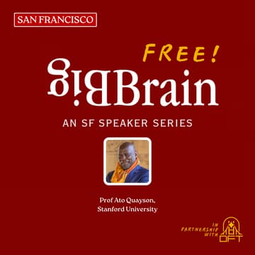 Cover Image for Toni Morrison and the Question of Freedom