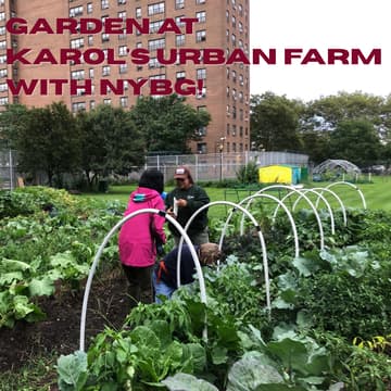Cover Image for Garden at Karol's Urban Farm with NYBG!