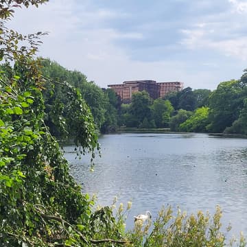 Cover Image for Green Brussels - Sunday Walk