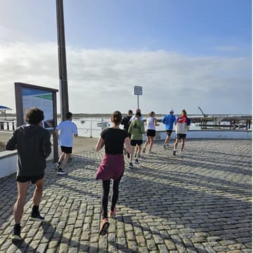 Cover Image for FRC #49 x Mercado Municipal (Sunrise)