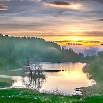 Cover Image for Foto Nightwalk im März