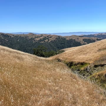 Cover Image for Wild Writing Workshop