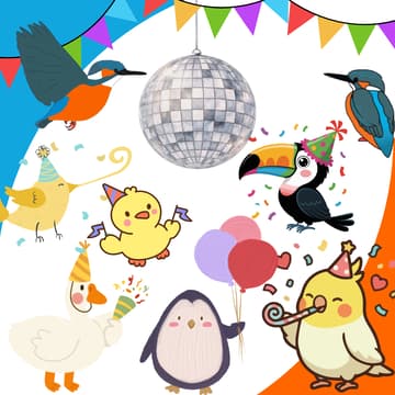 Cover Image for Uitslagenavond !!!!