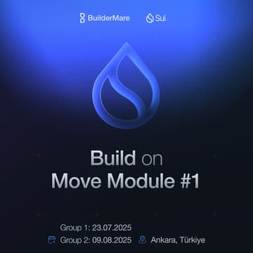 Cover Image for BuilderMare SUI Education - Group 2