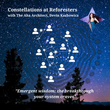 Cover Image for Constellations Experience