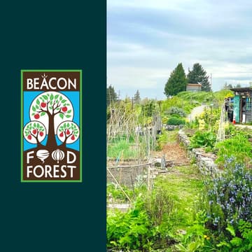 Cover Image for Beacon Food Forest Work Party