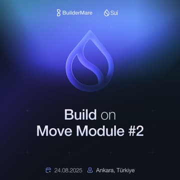 Cover Image for BuilderMare SUI Education - Group 3 - Module #2