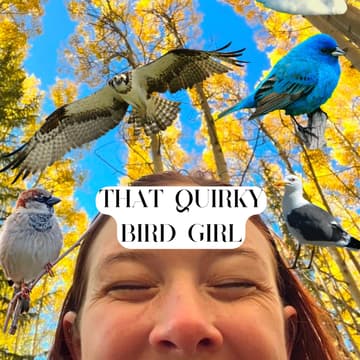 Cover Image for Central Park Bird Walk with that quirky bird girl 🦆