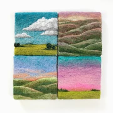 Cover Image for Wet Felting