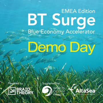 Cover Image for Demo Day | BT Surge Blue Economy Accelerator EMEA Edition