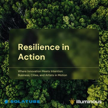 Cover Image for Resilience in Action