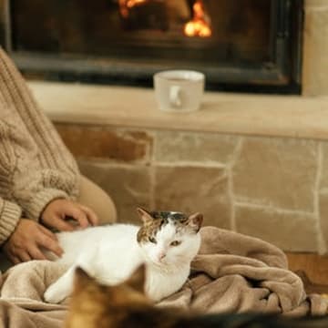 Cover Image for The Unwind: January cozy meetup between changemakers