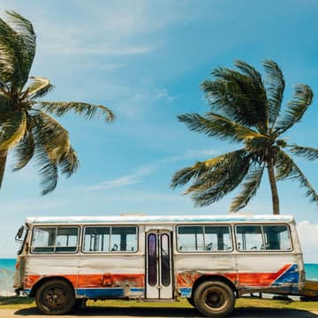 Cover Image for Jamaica Wellness Retreat Trip Overview - December 2026