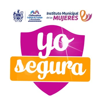 Cover Image for Relanzamiento de la app "YO SEGURA" adaptada para mujeres con discapacidad visual