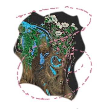 Cover Image for Consumption Book Club: Annihilation