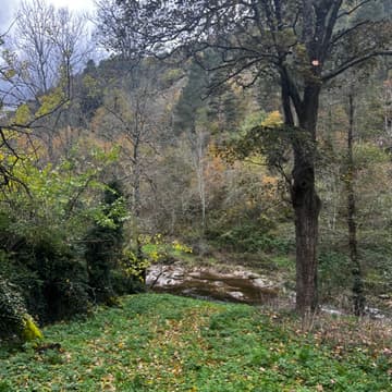 Cover Image for Le Silence. (Retraite)