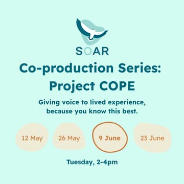 Cover Image for [3/4] Co-producing Project COPE's support group sessions