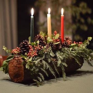 Cover Image for Solsticio de Invierno & Log de Yule