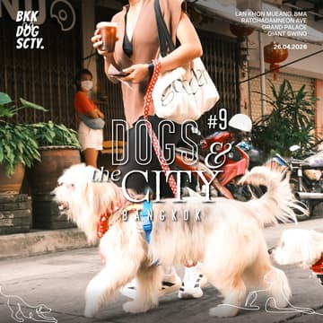 Cover Image for Dogs & the CITY #9