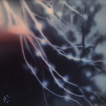 Cover Image for SPC Demo Night