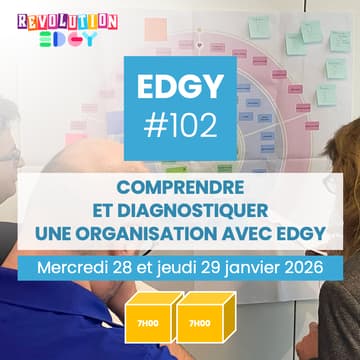 Cover Image for Comprendre et diagnostiquer une organisation avec EDGY