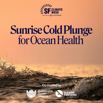 Cover Image for Sunrise Cold Plunge for Ocean Health