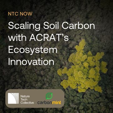 Cover Image for NTC Now: Carbon Mint — Scaling Soil Carbon with ACRAT’s Ecosystem Innovation