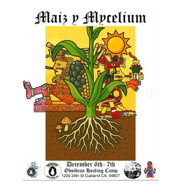 Cover Image for Maiz y Mycelium
