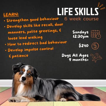Cover Image for Life Skills | 12:30pm Sundays