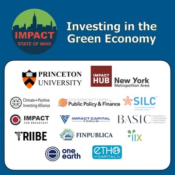 Cover Image for Financing the Green Economy in Developing Countries