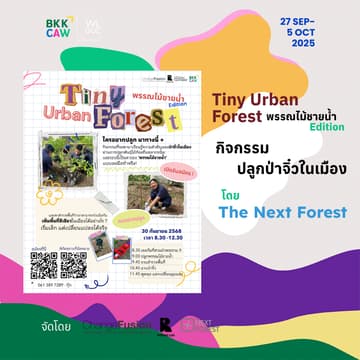 Cover Image for Designing Tiny Urban Forest