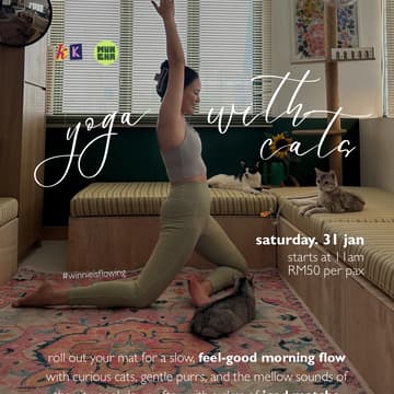 Cover Image for Yoga with Cats