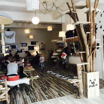 Cover Image for Bookclub010 X Pebbles present: Pop Up Silent Bookclub🐱📚