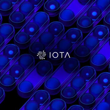 Cover Image for IOTA x BlockTempo Weekend on TBW