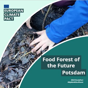 Cover Image for Food Forest of the Future 🌳