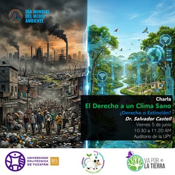 Cover Image for Dr. Salvador Castell: El Derecho a un Clima Sano