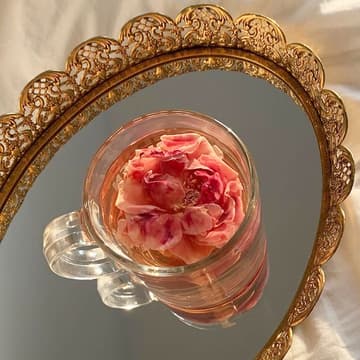 Cover Image for 🌺 Weekend Morning Floral Tea Tasting + Mini Qigong Practice