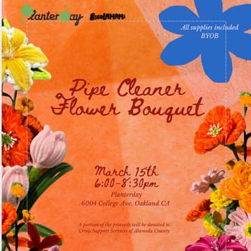 Cover Image for DIY Pipe Cleaner Flower Bouquet  @ Planterday